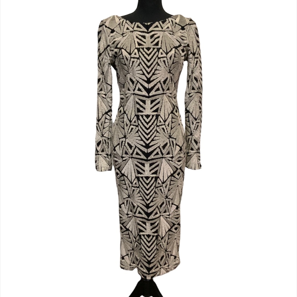Dress the Population Sequin Dress